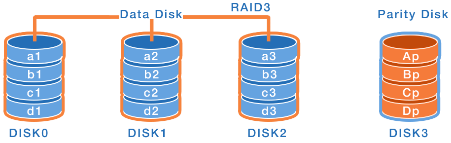RAID2 and RAID3 data structure